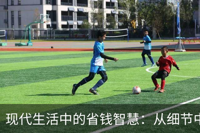 现代生活中的省钱智慧：从细节中看生活艺术